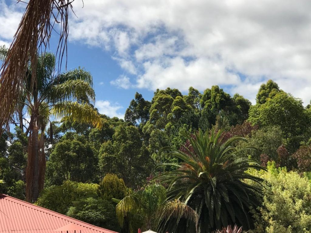 Forest Lodge Resort 