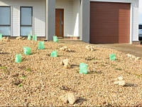 Peterborough Beach House 