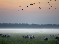 Bamurru Plains 