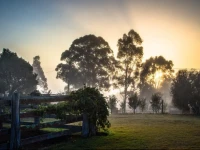 Elfin Hill Country Accommodation 