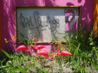 Pink Flamingo Resort 