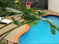 Comfort Inn Airport International 