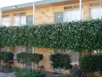 Mid City Motor Inn Queanbeyan 3*