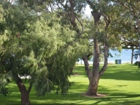 Rockingham Beachside Apartment 