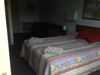 Copper Motel Rosebud 