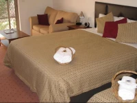 Golden Chain Wine Village Motor Inn 