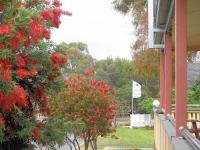 Sandy Hollow Tourist Park 