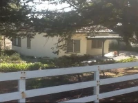 Morella Farm 