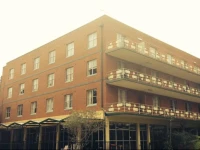 Greenwich Village Accommodation 