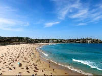 Opposite Bondi Beach: Sirena by the Sea 