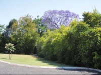 Riverland Motor Inn 