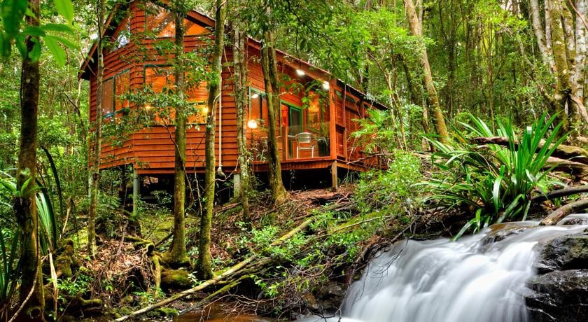 The Mouses House Rainforest Retreat 
