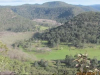 Fox & Hound Farmstay 
