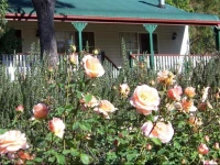 Granite Gardens Cottages 