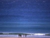 Tathra Beach House Holiday Apartments 