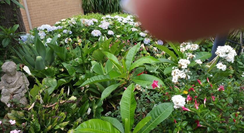 Terrigal Secret Garden 