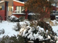 Angala 3 Thredbo 