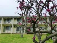 Tumut Motor Inn 
