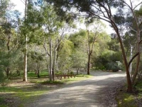 Watervale Retreat 