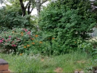 Holly Bell Farm 
