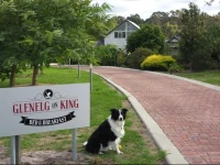 Glenelg on King Bed & Breakfast 