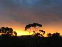 The Studio - Yarra Valley 