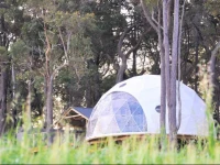 Mile End Glamping 