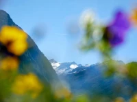 Hotel Gasthof Abelhof 3*