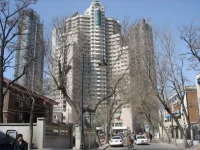 Somerset Olympic Tower 5*