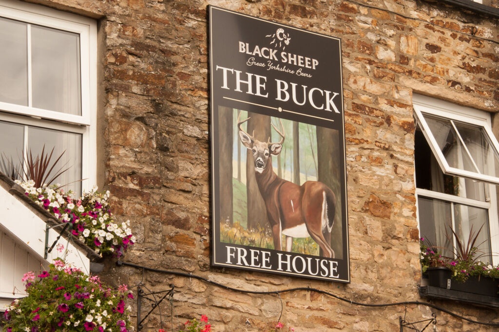 The Buck Hotel 