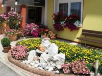 Pension Kathi 3*