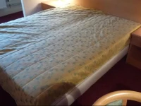 Naturotel - OGourmHan 3*