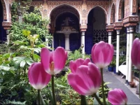 B&B Bayt al Andalus 