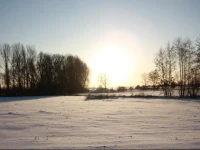 Holiday Home De Raaptorf 