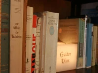 Hotel Gulden Vlies 