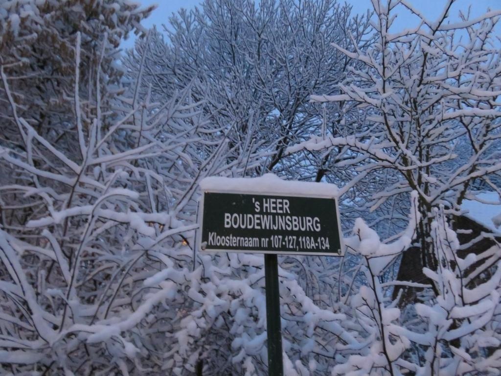 Forgatz Zomerhuisje 