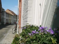 Holiday Home In T Reitje 
