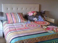 B&B Uccle 