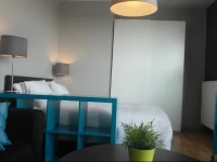 Brussels Louise Penthouse 