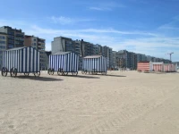 Appartement Delmare 