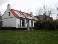 Blauwvoet 