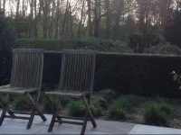 B&B DE WITTE 