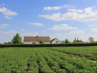 B&B De Luyckhoek 
