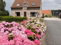 B&B Het Polderhof 