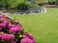 B&B Nooit Gedacht 