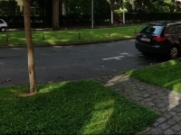 Leeuw Van Vlaanderen 