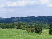 La Tournerie 
