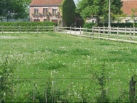 B&B Le Plat Pays 