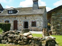 Les Camomilles En Fagne Fleurie 