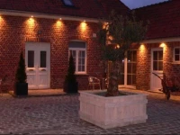 Vakantiehoeve De Olijfboom 